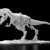 Bandai Dinosaur Limex Skeleton Tyrannosaurus Rex Model Kit