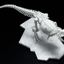 Bandai Dinosaur Limex Skeleton Tyrannosaurus Rex Model Kit