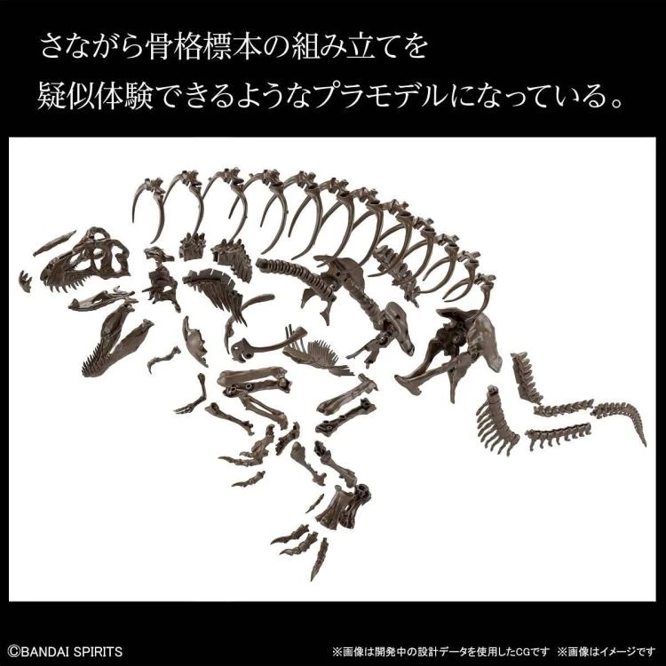 Bandai 1/32 Imaginary Skeleton Tyranosaurus Scale Model Kit 7 Bandai 1/32 Imaginary Skeleton Tyranosaurus Scale Model Kit