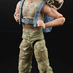 Hasbro Star Wars Black Series 40th Anniversary Empire Strikes Back Jedi Training Luke And Yoda 6 Inch Action Figure