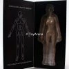 Jiaou Doll 1/6 Seamless Female Body 3.0 Big Bust (Natural) Sixth Scale Figure Scale Figures (1/6, 1/4, ETC)