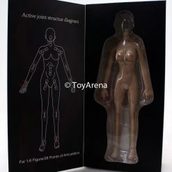 Jiaou Doll 1/6 Seamless Female Body 3.0 Big Bust (Natural) Sixth Scale Figure Scale Figures (1/6, 1/4, ETC)