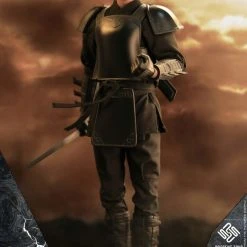 Present Toys 1/6 Double Suit Ninja Warrior Scale Action Figure