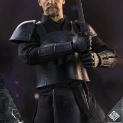 Present Toys 1/6 Double Suit Ninja Warrior Scale Action Figure